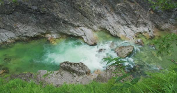 숲에서 깨끗한 민물이 흐르는 자연의 아름다움 오스트리아 Lammer Klamm 협곡의 — 비디오