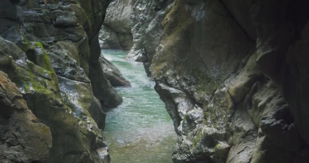 Horská Řeka Teče Úzkém Údolí Lammerklamm Rakousko Podzimní Období Dešťů — Stock video