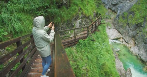 Dospělá Dívka Pěší Turistika Rokli Horskou Řekou Deštivý Den Filmy — Stock video
