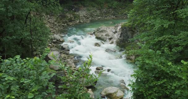 夏の森で山の川の澄んだ青い淡水が流れています 自然の美しさ オーストリアのラムマー クリンム ダークゴージュの野生のブロック — ストック動画