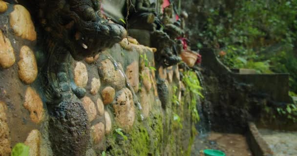 Close Uma Escultura Pedra Coberta Musgo Bali Motivos Mitológicos Tradicionais — Vídeo de Stock