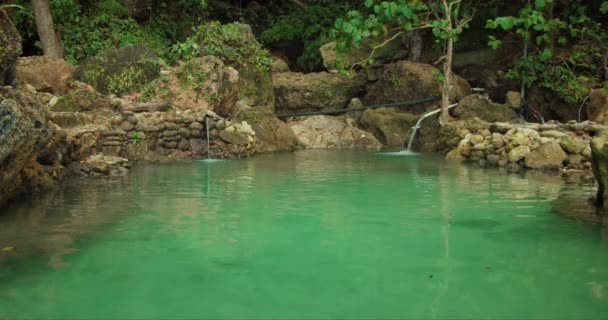 Corazón Bosque Tropical Una Serena Piscina Esmeralda Encuentra Oculta Sus — Vídeos de Stock