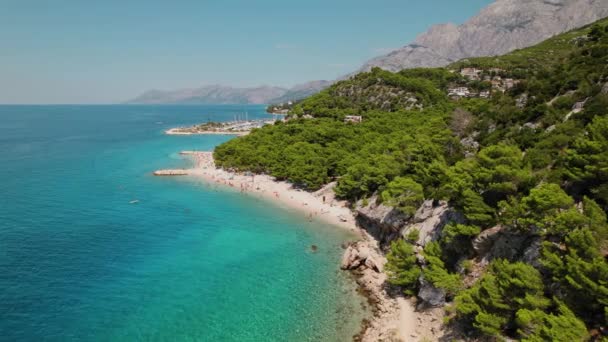 クロアチアのセリーン海岸 静かなマカルス リヴィエラはクロアチア海岸に沿って広がり ターコイズアドリア海の空中眺望 風光明媚なビーチ ドラマチックに設定された松林 — ストック動画