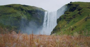 Önplanda yeşillik tarlası olan İzlanda Skogafoss şelalesi