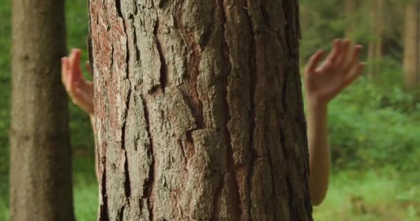 森の中の木の後ろから見た遊び心のあるピーク 自然との人間の交流 森に隠れて探し求めている 松のトランクの背後にある陽気な少女 — ストック動画