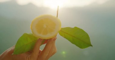 Bir el, gün ışığında yaprakları olan taze koparılmış limonu yumuşak odaklı doğal arka planda tutar...