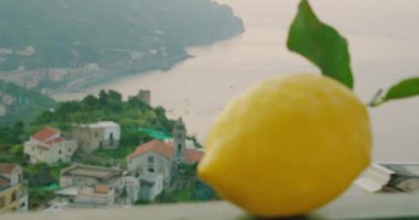 Bir balkona tünemiş, yaprakları olan bir limon Amalfi sahilinin sakin sularına bakıyor...