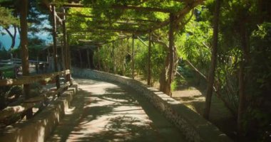 İtalya 'nın Capri Adası' ndaki yaz bahçesinde ahşap yapılar ve yemyeşil bir yol..