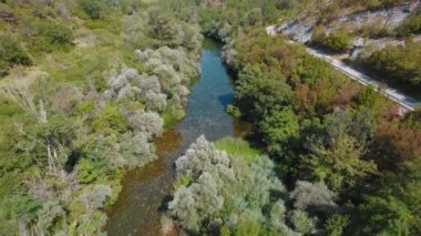 Hırvatistan 'da yaz güneşli bir günde yoğun bir orman boyunca akan temiz bir Cetina nehrinin havadan görünüşü..