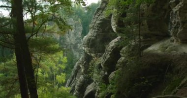 Almanya 'nın Elbe Kum Taşı Dağları' nda yaz günü sık orman ve kayalarla kaplı engebeli bir uçurum..