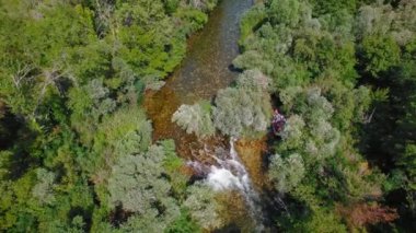 Bir grup insan yukarıdan alınan sık ormanlarla çevrili bir nehirde rafting yapıyorlar...