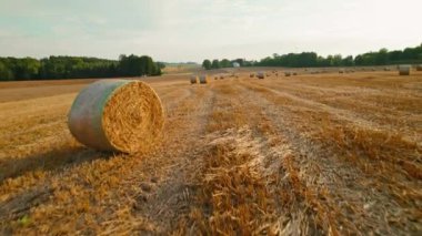 Hasat edilmiş bir tarlada ön planda saman balyası. Çevresini aydınlatan yumuşak altın ışıkla birlikte...