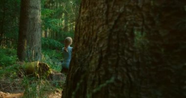 Ormanda sakin geçen bir an, güneş ışığından süzülen uzun ağaçların gölgesinin altındaki yosunlu bir kütükle meditasyon yapan bir insan..