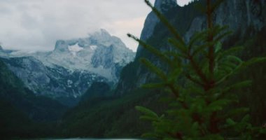 Önünde daima yeşil ağaçlar olan sisli bir dağ manzarası derinlik ve kontrastlık yaratır..