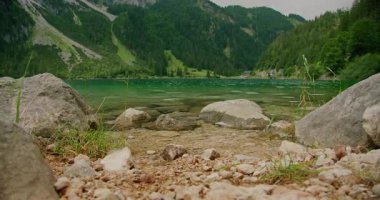 Arkasında yemyeşil tepeler ve yemyeşil tepeler olan Gosau Avusturya dağının kayalık kıyıları.