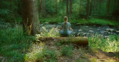 Derede meditasyon yapan kadınla sakin bir orman ormanı, ağaçların arasından süzülen güneş ışığı...