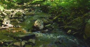Ormandaki bir derede dalgalanan suyun yakın çekimi güneş ışığı altında yeşil ve turuncu tonlarını yansıtıyor.