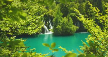 Plitvice Gölleri Ulusal Parkı 'ndaki yemyeşil ağaçların ve turkuaz gölün yaz manzarası.