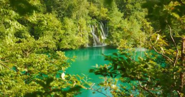 Verimli orman açılışı, Hırvatistan 'daki Plitvice Gölleri' nde şelale zeminli canlı bir göl ortaya çıkardı.