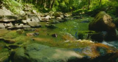 Yumuşak kayalardan oluşan bir yatağın üzerinde akan su, ormanın canlı yeşil gölgesini yansıtır.