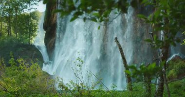 Temiz su, kayalar ve yeşilliklerle dolu doğal bir ormandan akıyor..