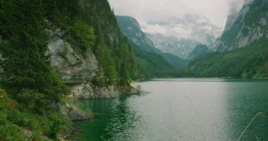 Kayalık bir uçurum manzarası ve sakin bir dağ olan Gosausee 'nin yanındaki yemyeşil orman..