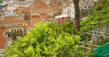 İtalya 'da yazın Amalfi kasabasına bakan teraslı limon bahçesi..