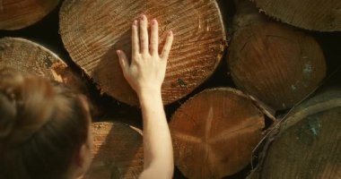 Bir kadın, yaz günü bir orman kenarındaki ağaç gövdesine dokunur..