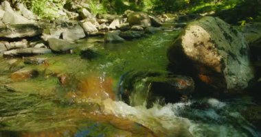 Küçük bir şelale, sık orman yeşilliği ve sakin suyla çevrili yosun kaplı taşların üzerine nazikçe dökülür.