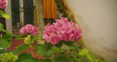 Sarı elbiseli bir adam Amalfi 'de çiçek açan pembe ortancalarla dar bir sokağı keşfederken bir harita tutuyor..