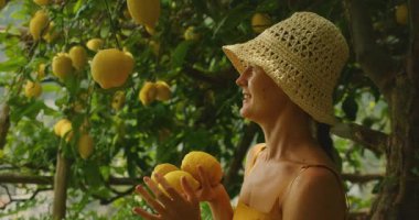 Canlı bir narenciye bahçesinde yapraklı ağaçların altında limon toplayan gülümseyen kadın..