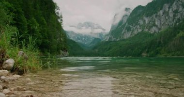 Gosau 'da kristal berrak göl kıyısında yeşil dağlar ve sisli tepeler var...