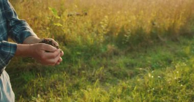 Yaşlı bir adam ağaç fidanını genç ellere uzatıyor ve orman korunmasını kutluyor..