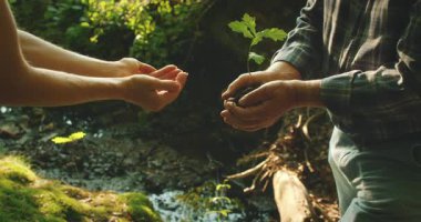 İki neslin elleri, Ağaç Bayramı 'nda bir Alman ormanının üzerinde küçük bir meşe fidanını değiş tokuş eder..