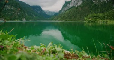 Yaz aylarında Gosausee Gölü ve Dachstein Dağları 'nın panoramik manzarası.
