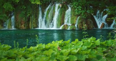 Hırvatistan 'da Plitvice Gölleri Ulusal Parkı' nda yemyeşil yapraklı yemyeşil bitki örtüsünden orman deresi akıyor.