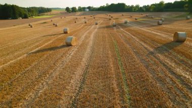 Saman balyalarının dokusunu gösteren hasat alanının yakın çekimi ve öğleden sonra güneş ışığı altında düzenli sıralar.