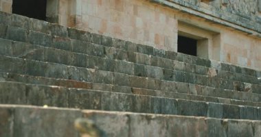 Meksika, Yucatan 'da güneşli harabelerde güneşlenen iguana ile birlikte arkeolojik alana çıkan antik taş merdiven..