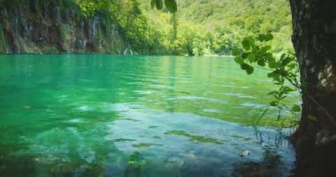 Plitvice Gölleri 'nin sakin turkuaz suları kayalık kayalıklarla ve sık ormanlarla çevrili..