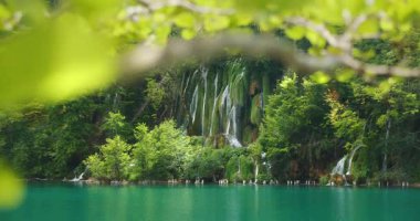 Plitvice Lakes Ulusal Parkı 'ndaki ormanın içinden akan şelalelerin manzarası..