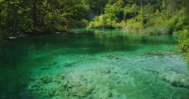 Kristal berrak zümrüt göl. Yaz günü Plitvice Gölünde görülebilir taşlar var..