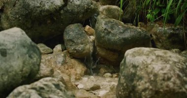 Yavaş çekimde sakin bir alp ile kayaların arasından akan küçük bir dere..