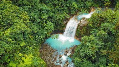 Kosta Rika 'nın yemyeşil ormanlarında akan nehir ve şelalenin gerçek dışı mavi suyu.