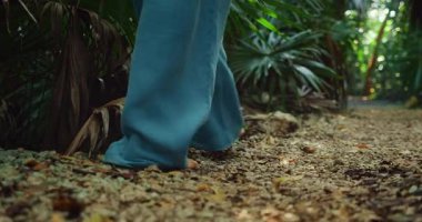 Kadın ayakları, Meksika 'da bir mezarlığın yakınındaki kuru yapraklarla orman yolunda usulca yürür..