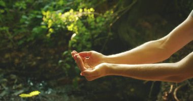 Yaşlı ve genç eller, Uluslararası Orman Günü 'nde ormanda fidanları bir arada tutuyorlar..