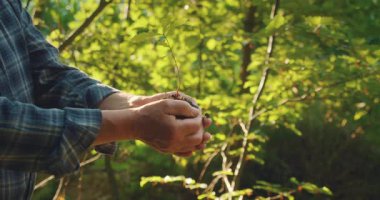 Ormanda filizlenen küçük bir ağacın yanından geçen eller, bakımı ve büyümeyi simgeliyor..