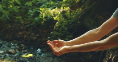 Yaşlı bir insan, genç bir fidanı güneşli bir ormanda genç ellere verir..