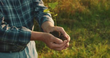Nesiller, umut ve orman yenilenmesini simgeleyen genç bir ağaç dikmek için birleşti..