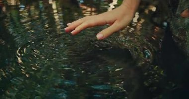 Bir el, Yucatan Meksika ormanında açık bir yüzeye zar zor dokunuyor..