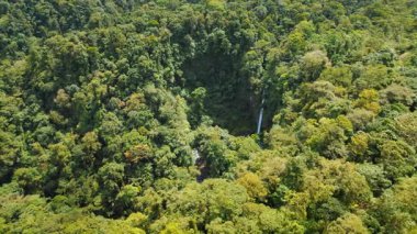 Güneşli bir günde Kosta Rika 'da yoğun tropikal orman ve La Fortuna şelalesi.